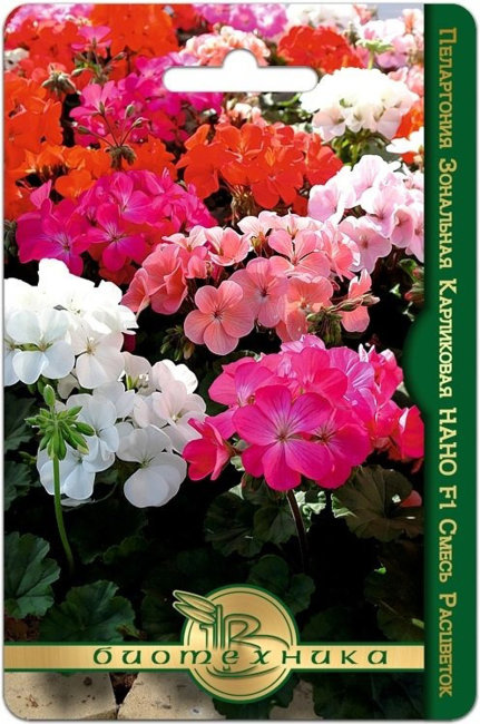 Пеларгония зональная карликовая Нано F1 смесь расцветок, 5 шт семян