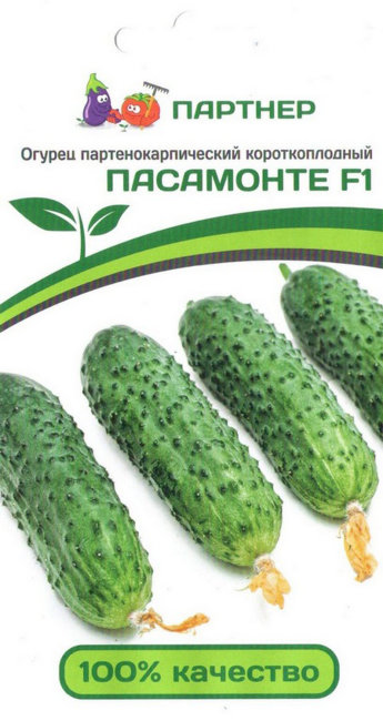 Огурец Пасамонте F1, 5 шт семян