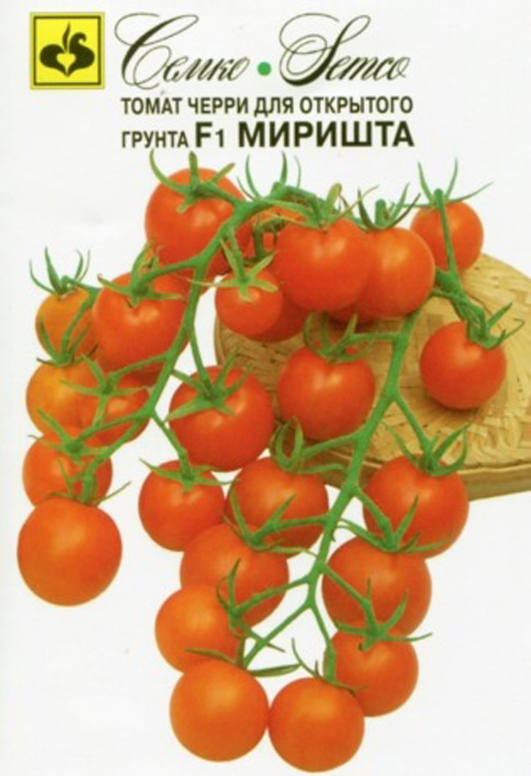 Семена Семко Купить В Интернет