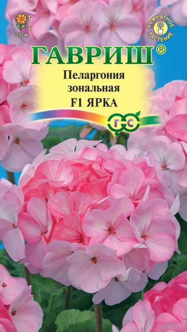 Пеларгония зональная Ярка F1, 4 шт семян