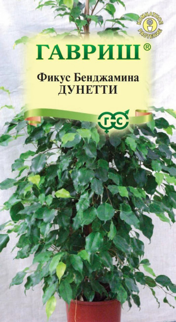 Фикус Бенджамина Дунетти, 0.01 г