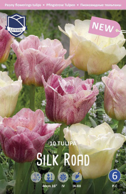 Тюльпан Силк Роуд (Tulipa Silk Road), 10 шт (разбор 11/12)