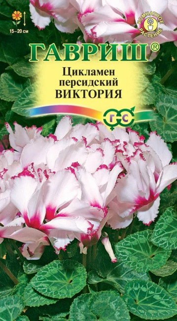 Цикламен персидский Виктория, 3 шт семян