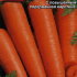 Морковь Красный великан (драже), 300 шт