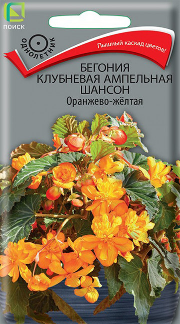 Бегония клубневая ампельная Шансон Оранжево-жёлтая, 10 шт семян