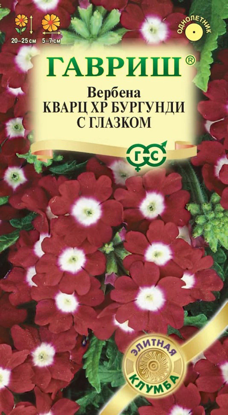 Купить вербена кварц xp бургунди с глазком, 4 шт семян по цене 45 руб. в  интернет магазине 