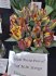 Тюльпан Раста Пэррот (Tulipa Rasta Parrot), 10 шт (разбор 12/14)