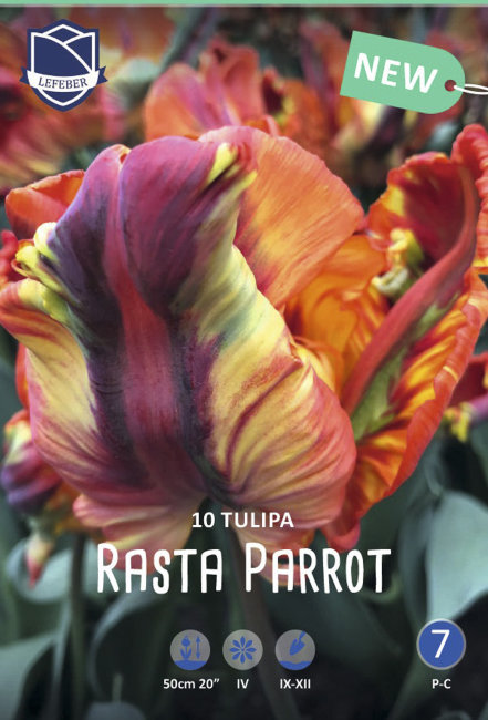 Тюльпан Раста Пэррот (Tulipa Rasta Parrot), 10 шт (разбор 12/14)