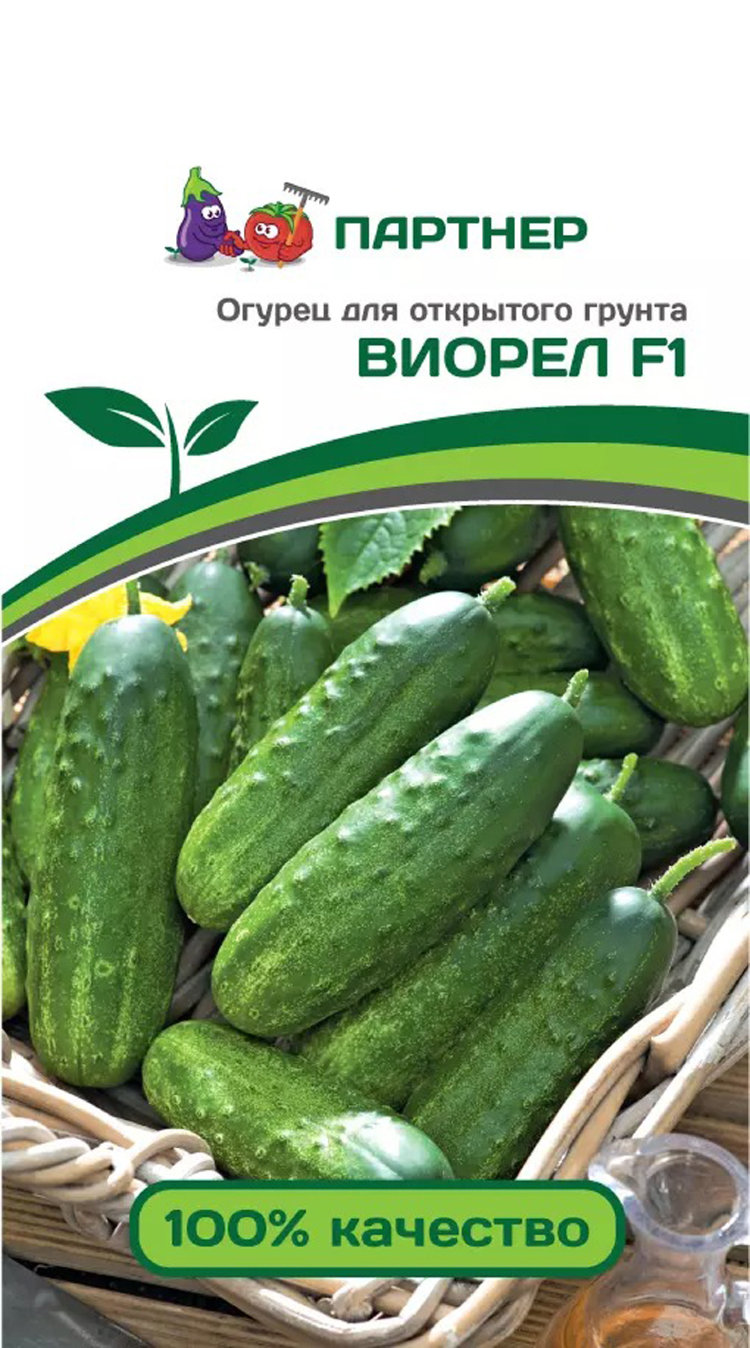 Купить Семена Огурцов Фирмы Партнер