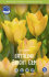 Тюльпан Баталини Брайт Джем (Tulipa Batalinii Bright Gem), 15 шт