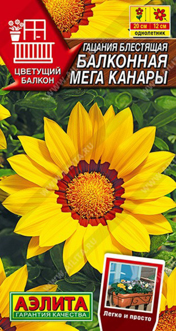 Гацания Балконная мега канары, 4 шт семян