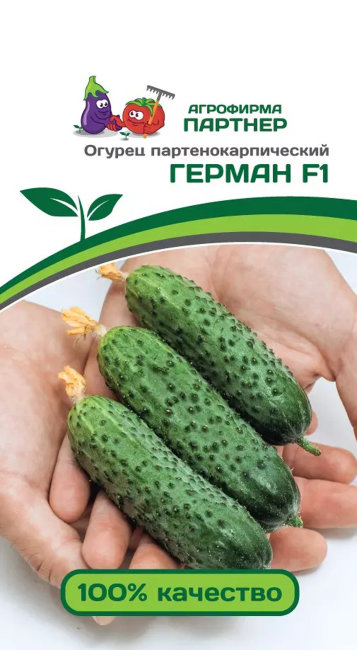 Огурец Герман F1, 5 шт семян