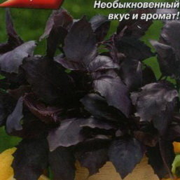 Базилик овощной Рубиновый букет, 0.3 г