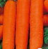 Морковь Нантик резистафлай F1, 0.5 г