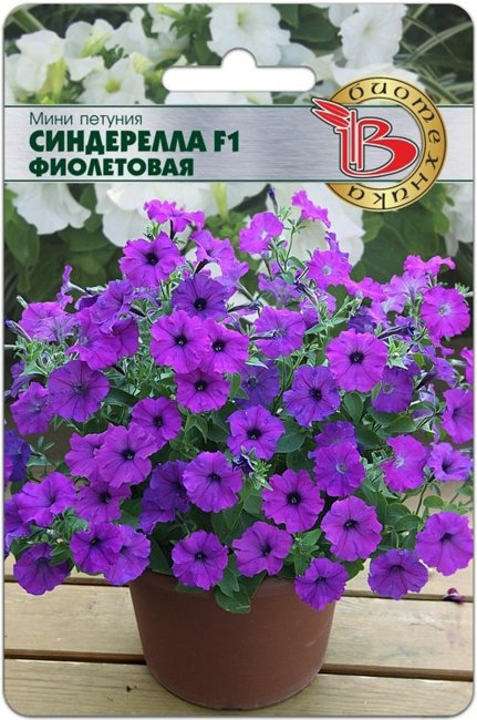 Мини Петуния мелкоцветковая Синдерелла F1 Фиолетовая, 15 шт семян