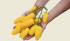 Томат Банановые ноги, 10 шт семян