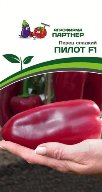 Перец сладкий Пилот F1, 10 шт семян