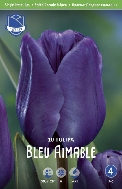 Тюльпан Блю Эмабль (Tulipa Blue Aimable), 10 шт (разбор 12/14)