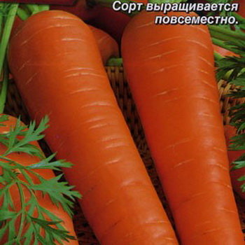 Морковь Лосиноостровская 13 (лента 8 м)