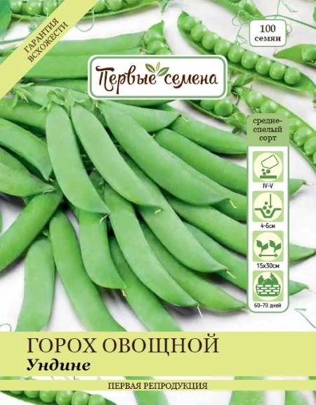 Горох овощной Ундине