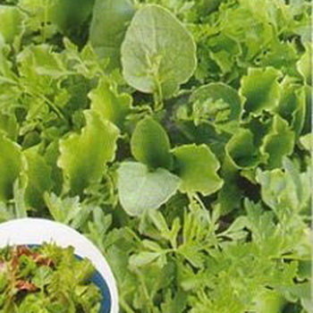 Салат Бейби Ливз зеленый, листовой (Вкуснятина!)