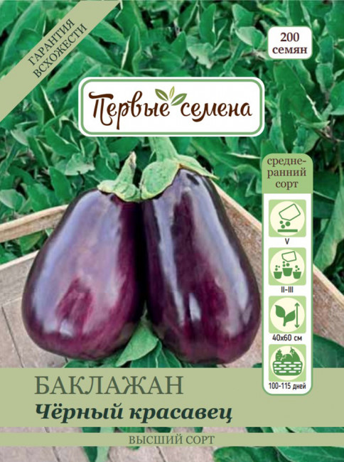 Баклажан Чёрный красавец, 1 г