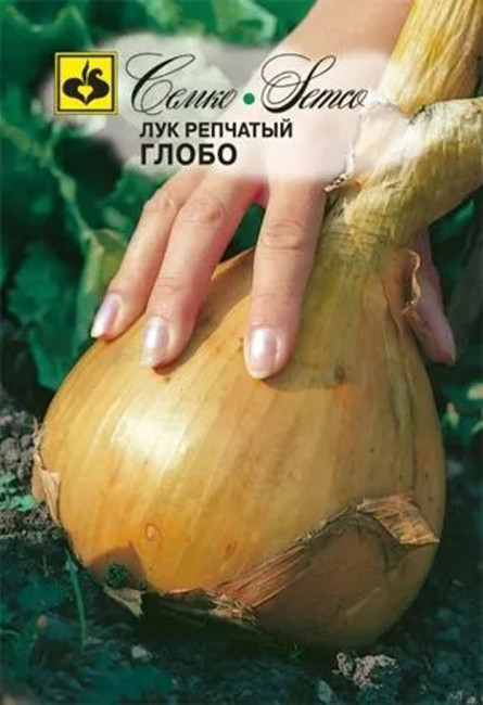 Лук репчатый Глобо, 0.5 г