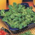 Полевой салат Экспромт, листовой