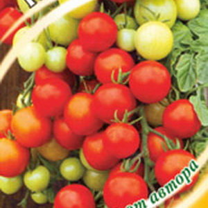 Купить семена Томат Леопольд F1 в магазине Первые Семена по цене 29 руб.