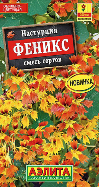 Настурция Феникс, смесь, 5 шт семян
