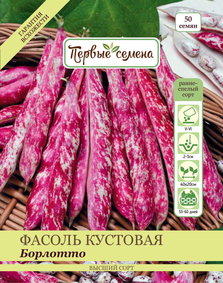 Сорта кустовой фасоли