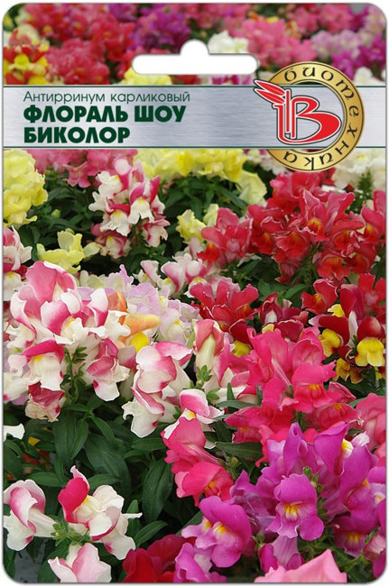 Антирринум карликовый Флораль Шоу Биколор, 20 шт семян