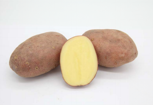 Картофель семенной 26-25 Красный (2 кг)
