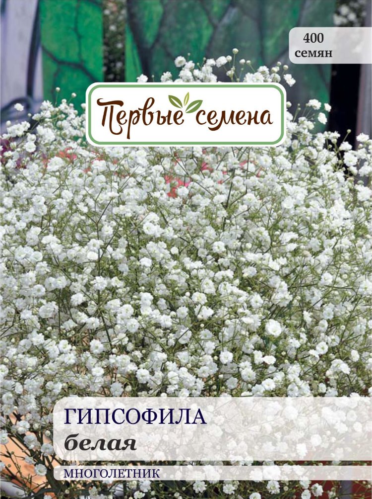 Гипсофила Белая Купить Спб