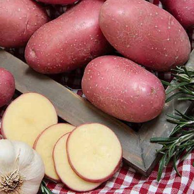 Картофель семенной 26-29 Роза (2 кг)