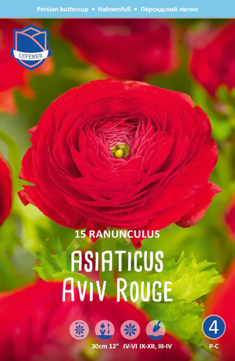 Купить ранункулюс азиатский авив ред (ranunculus aviv red), 15 шт (разбор  7/8) по цене 550 руб. в интернет магазине 