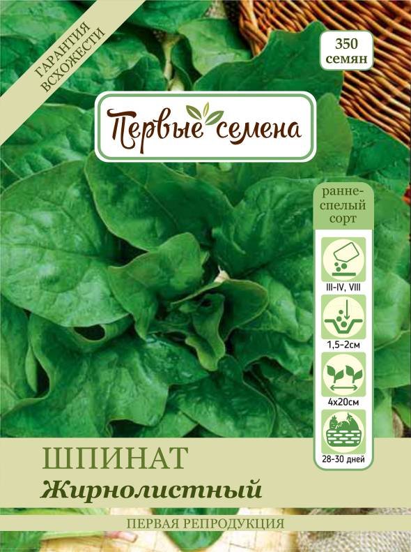 Купить шпинат жирнолистный (опт) по цене 21,84 руб. в интернет магазине\