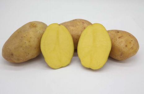 Картофель семенной Джувел (2 кг)