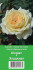 Роза Элоджиан (Alogian), 1 шт