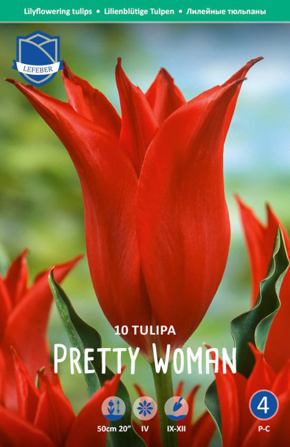 Тюльпан Притти Вумен (Tulipa Pretty Woman), 10 шт (разбор 12/14)