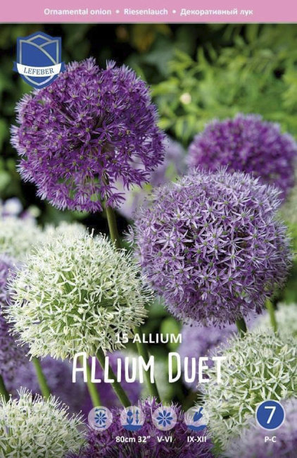 Аллиум Дуэт смесь (Allium Duet Mix), 15 шт