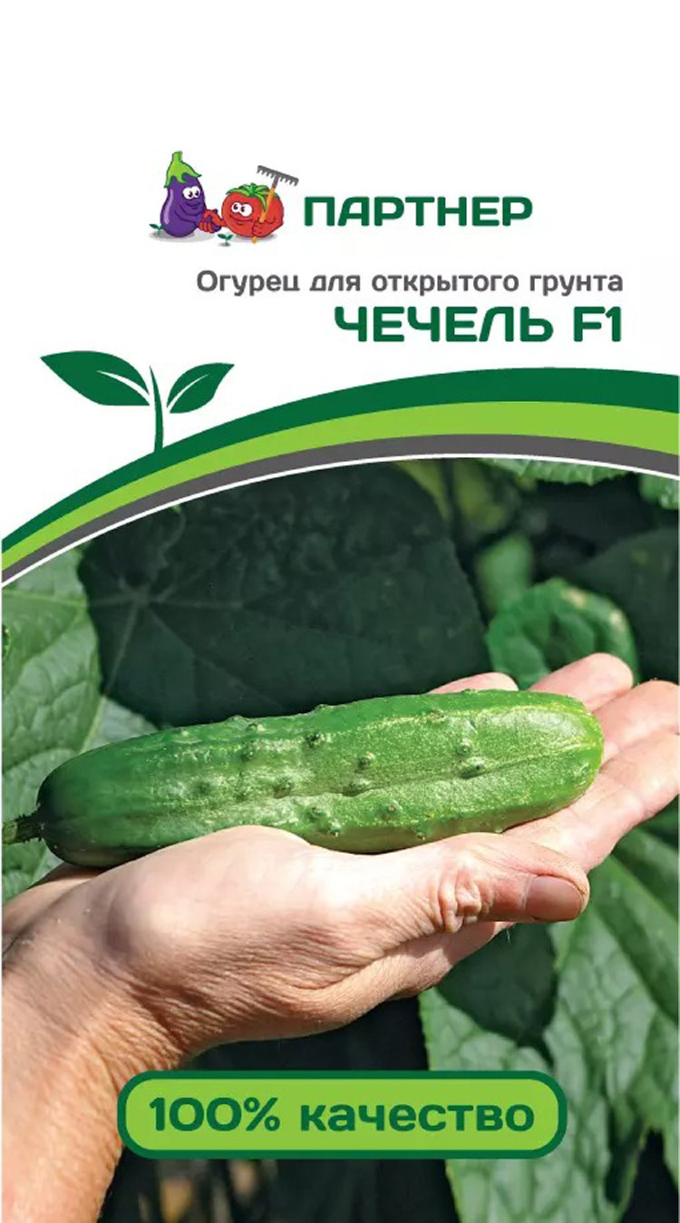 Купить Семена Огурцов Фирмы Партнер