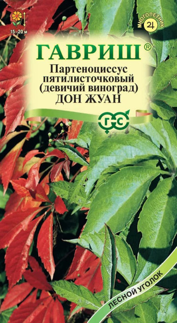 Виноград девичий пятилисточковый Дон Жуан, 5 шт семян