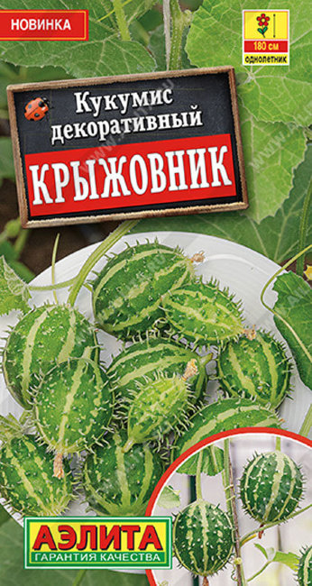 Кукумис декоративный Крыжовник, 5 шт