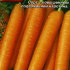Морковь Нантская 4 (драже), 300 шт