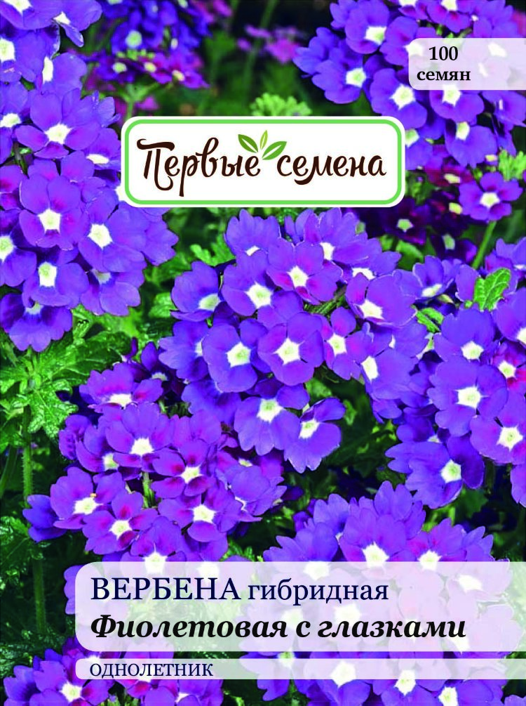 Вербена Профессиональные Семена Купить Оптом