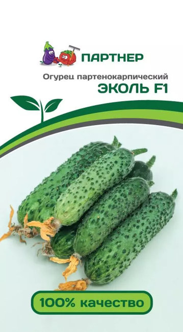 Огурец Эколь F1, 5 шт семян