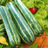 Кабачок цуккини Кукурзелле, 1.5 г