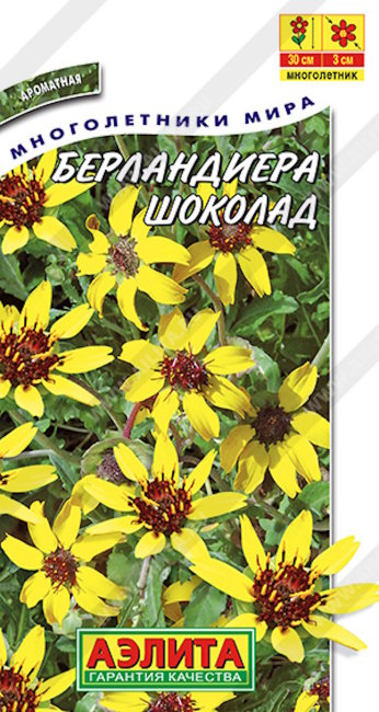 Берландиера Шоколад лировидная, 5 шт семян