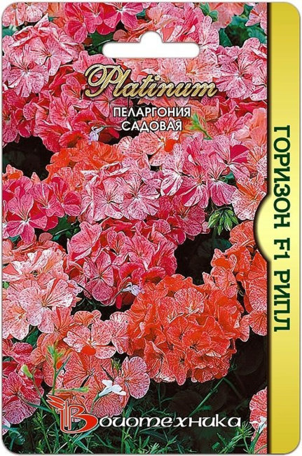 Пеларгония садовая Горизон F1 Рипл, 5 шт семян